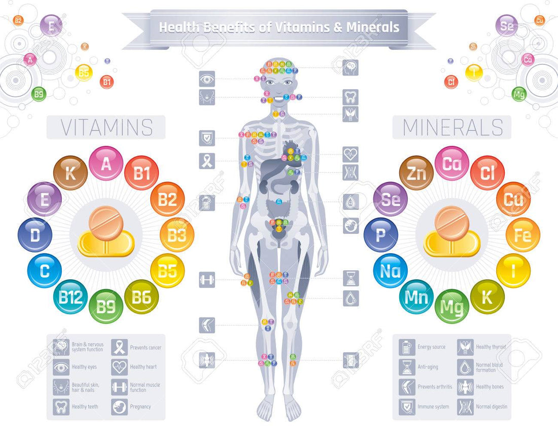 Les vitamines et minéraux essentiels du Corps Humain : Quelles associations de compléments alimentaires avec la prise d’une cure de Calcium ?